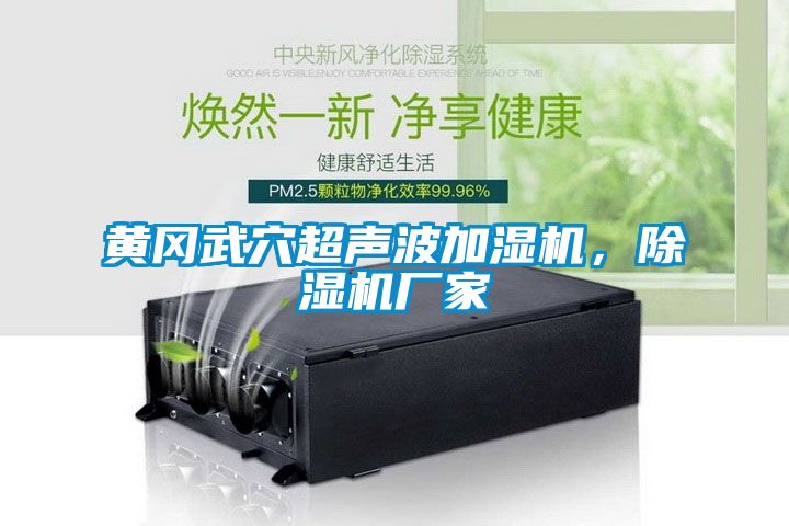 黃岡武穴超聲波加濕機，除濕機廠家